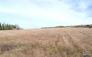 2 ha Land available in Groenvlei