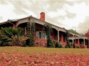 39 ha Farm in Albert Falls