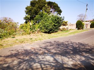 2248 m² Land available in Beverley Hills