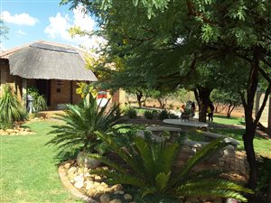 346.5 ha Farm in Koster