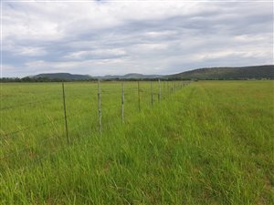 215 ha Farm in Modimolle