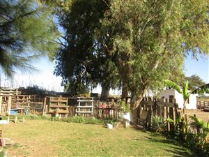 5 ha Farm in Louisvale