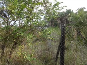 1366 m² Land available in Munster