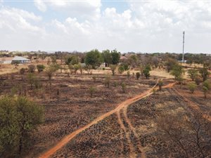 7.5 ha Farm in Kameeldrift East