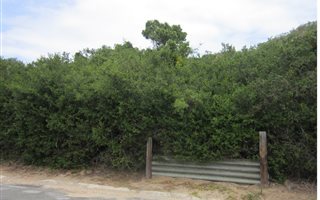 889 m² Land available in Meedingsride