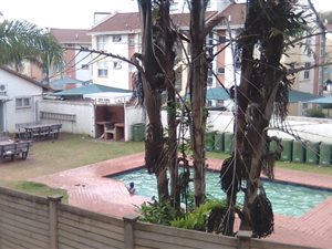 1 Bed Apartment in Morningside