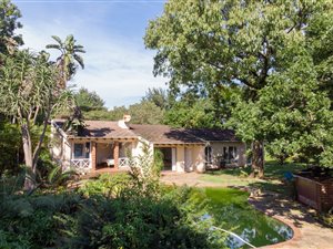 4 Bed House in Forest Hills