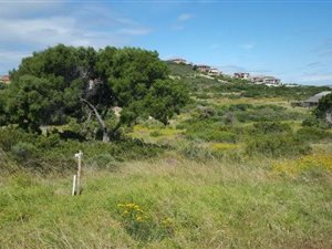 1414 m² Land available in Vyf Brakke Fontein