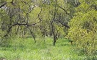 8.8 ha Farm in Wonderboom