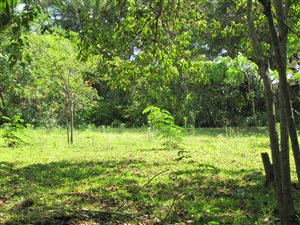 2015 m² Land available in Ramsgate
