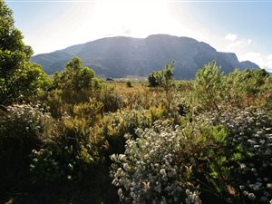 987 m² Land available in Bettys Bay