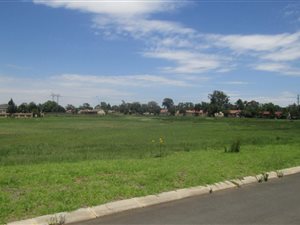 1000 m² Land available in Struisbult
