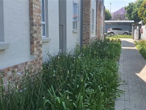 2 Bed Apartment in Malanshof
