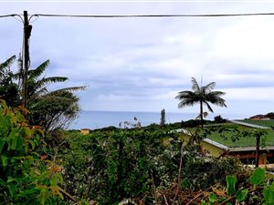 1504 m² Land available in Hibberdene