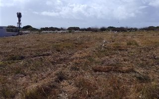 945 m² Land available in Still Bay West