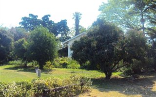 11 ha Farm in Barberton