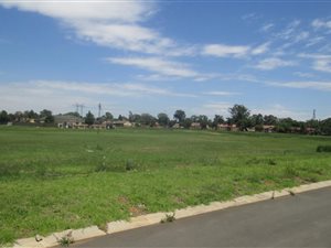 1000 m² Land available in Struisbult