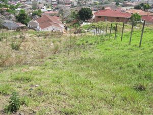 585 m² Land available in Raisethorpe