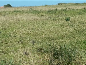 4890 m² Land available in Pacaltsdorp