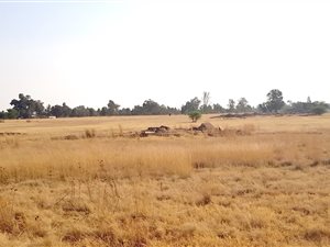 2.1 ha Farm in Theoville