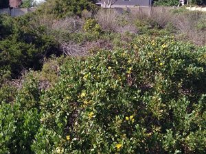 734 m² Land available in Still Bay West