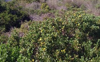 734 m² Land available in Still Bay West