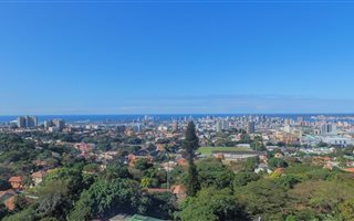 2.5 Bedroom Apartment in Musgrave