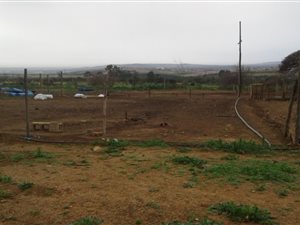7.2 ha Farm in Uitenhage Central