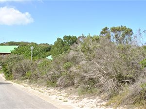 650 m² Land available in Gamtoos Mouth