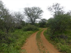 670 ha Farm in Lephalale (Ellisras)