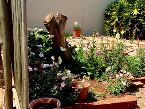 1.5 Bed Simplex in Wapadrand