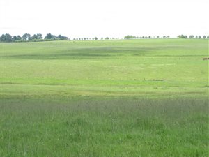 325 ha Farm in Mooi River