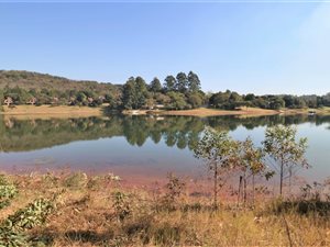 1.1 ha Land available in Sonyaka Estate