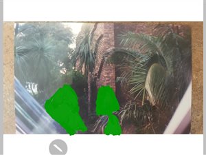 5 Bed House in Erasmusrand