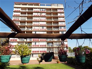 4 Bed Penthouse in Arcadia