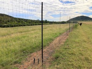 108 ha Farm in Henley on Klip