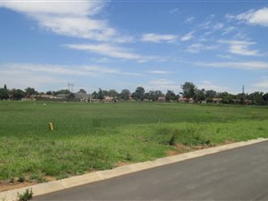 1000 m² Land available in Struisbult