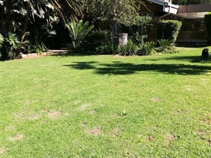 4 Bed House in Senderwood