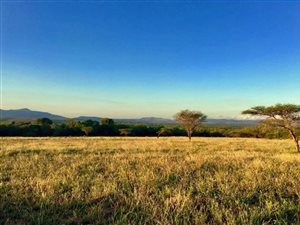 167.2 ha Farm in Pongola