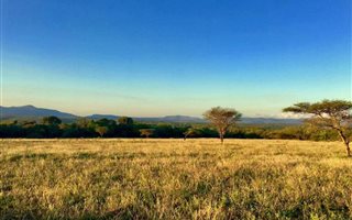 167.2 ha Farm in Pongola