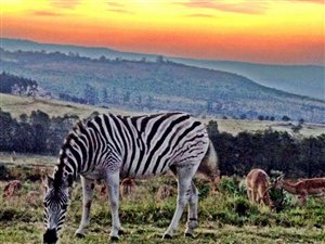 2500 m² Land available in Intaba Ridge Secure Eco Estate