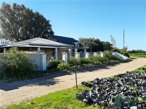 7.6 ha Farm in Philippi
