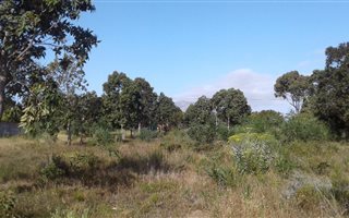 1739 m² Land available in Fisherhaven