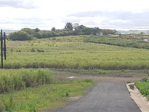 2.1 ha Smallholding in Ballito