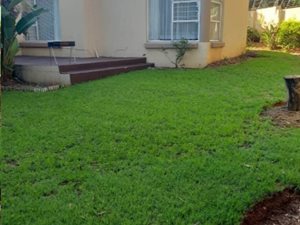 3 Bed Cluster in Bromhof
