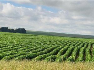 183 ha Farm in Harrismith