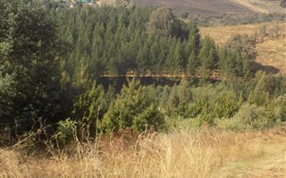 9.9 ha Land available in Haenertsburg
