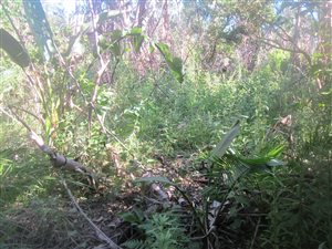 1069 m² Land available in Port Edward
