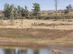 2500 m² Land available in Intaba Ridge Secure Eco Estate