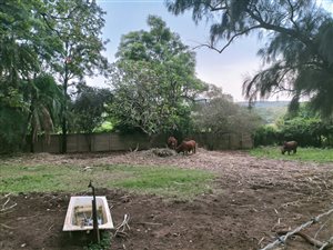 7.6 ha Farm in Carsdale